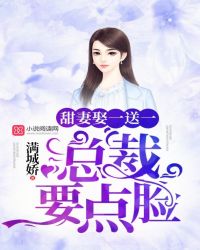 甜妻娶一送一:总裁要点脸介绍